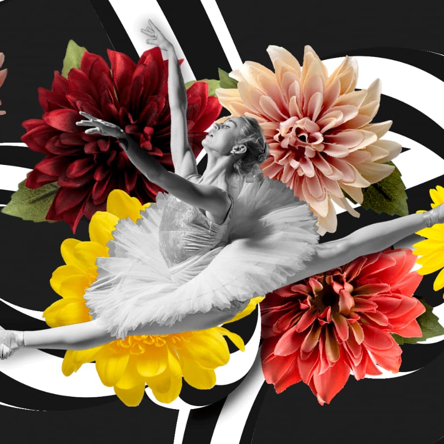 Xara Photo & Graphic designer template