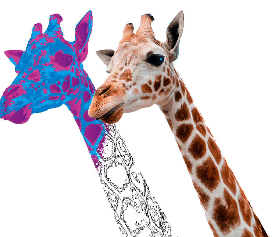 Xara Photo & Graphic designer template